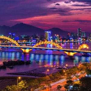 Pick up from Da Nang airport and drop off at a hotel in Da Nang city