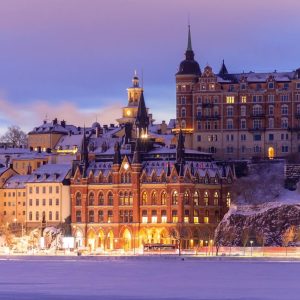 Stockholm Private Car Rental with Driver 1-Day