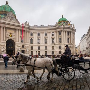 Vienna car rental (with driver) for 8 hours